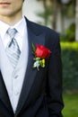 Groom corsage Royalty Free Stock Photo