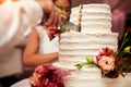 Groom cuts the wedding cake Royalty Free Stock Photo