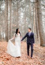 Groom in dark blue suit walks with a bride on fallen leaves