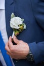 Groom dress boutonniere on a jacket Royalty Free Stock Photo