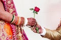 Groom gives Rose flower to bride Royalty Free Stock Photo