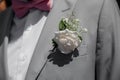 Groom in grey tuxido on Wedding day, closeup details at natural light Royalty Free Stock Photo