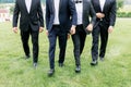 The groom and his friends walk on the green lawn, dressed in beautiful stylish suits. Large mans group of business executives Royalty Free Stock Photo