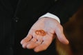 The groom on his wedding day holds two wedding rings in his hand in a hotel room. The man is wearing a white shirt and Royalty Free Stock Photo