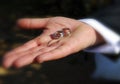 Groom holding two wedding rings Royalty Free Stock Photo