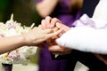 Groom holds bride arm tenderly while he puts a wedding ring on h Royalty Free Stock Photo