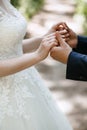 The groom holds the bride`s hands in a wedding dress with a beautiful manicure and wedding ring Royalty Free Stock Photo