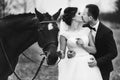 Groom holds bride tender standing behind a horse Royalty Free Stock Photo