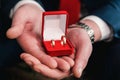 The groom holds gold wedding rings in a red velvet box Royalty Free Stock Photo