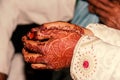 Groom hands coloring ceremony, a Hindu wedding ritual, Royalty Free Stock Photo