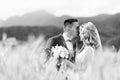 Groom hugging bride tenderly and kisses her on forehead in wheat field somewhere in Slovenian countryside. Royalty Free Stock Photo