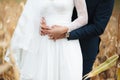 Groom hugs bride on the corn field