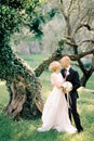 Groom hugs and almost kisses bride near the ivy-covered tree in the park Royalty Free Stock Photo