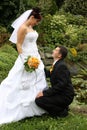 Groom on knees Royalty Free Stock Photo