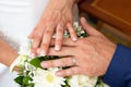 Groom man and bride woman closeup hands with wedding rings over marriage bouquet of natural flowers Royalty Free Stock Photo