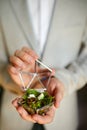 Groom men holding wedding rings lie on a beautiful, decorative hand made rustic box with plants inside, copy space, Royalty Free Stock Photo