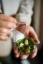 Groom men holding wedding rings lie on a beautiful, decorative hand made rustic box with plants inside, copy space, Royalty Free Stock Photo