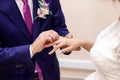 the groom puts the ring on the bride's hand Royalty Free Stock Photo