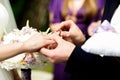 Groom puts a wedding ring on bride`s delicate finger Royalty Free Stock Photo