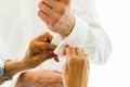 A groom putting on cuff-links as he gets dressed in his wedding day. Groom`s suit Royalty Free Stock Photo