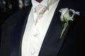 Groom's black tux and tie Royalty Free Stock Photo