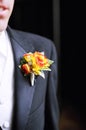 Groom's boutionere Royalty Free Stock Photo