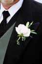 Groom's boutonniÃ¯Â¿Â½re Royalty Free Stock Photo