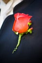 Groom's boutonniere