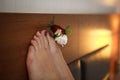 The groom`s boutonniere of red and white roses in the toes with a red pedicure for the bride. Wedding accessories, bride fees, wed Royalty Free Stock Photo