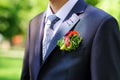 Groom's buttonhole Royalty Free Stock Photo