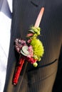 Groom's Corsage Royalty Free Stock Photo