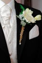 Groom's Corsage Royalty Free Stock Photo