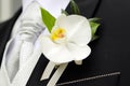 Groom's Corsage Royalty Free Stock Photo