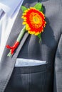 Groom`s Corsage to a bridegroom`s lapel of his wedding jacket Royalty Free Stock Photo