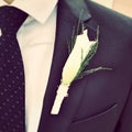 Groom's flower close up Royalty Free Stock Photo