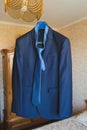Groom's Suit on Luster Royalty Free Stock Photo