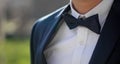 Groom Suit Royalty Free Stock Photo