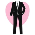 Groom Suit Royalty Free Stock Photo