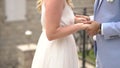 The groom touchingly takes the bride's hands, close-up