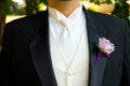 Groom Wedding Day Attire Royalty Free Stock Photo