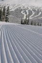 Groomed Ski Run