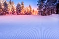 Groomed snow and forest ski slope at dawn