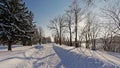 Groomed trail in the snow in Jean Drapeau park in Montreal