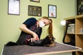 Groomer cuts of Yorkshire Terrier by haircut machine for animals.