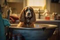 A groomer giving a cocker spaniel a bath in a sink, with shampoo. Generated ai Royalty Free Stock Photo