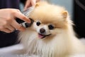 Groomer Using Deshedding Tool To Remove Excess Fur. Generative AI Royalty Free Stock Photo