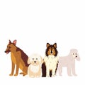 Grooming concept. Dogs composition for banner