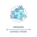 Grooming concept icon