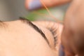 Grooming the eyebrows thread in a beauty salon Royalty Free Stock Photo