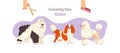 Grooming fan flat vector illustration. Pet care salon